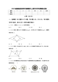 2025届湖南省张家界市桑植县九上数学开学经典模拟试题【含答案】