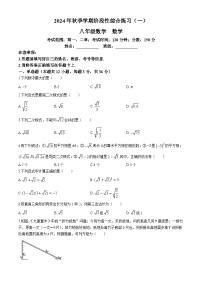 贵州省毕节市金沙县2024-2025学年八年级上学期10月月考数学试题(无答案)