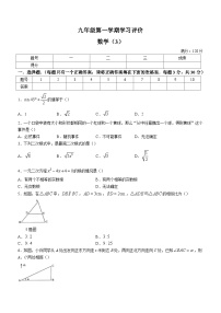 河南省周口市淮阳区2023-2024学年九年级上学期12月月考数学试题
