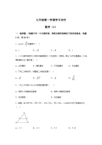 河南省周口市淮阳区2023-2024学年九年级上学期12月月考数学试题（含解析）