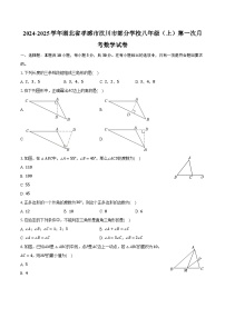 2024-2025学年湖北省孝感市汉川市部分学校八年级（上）第一次月考数学试卷（含解析）