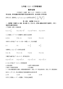 辽宁省大连市金普新区2024-2025学年九年级上学期10月月考数学卷