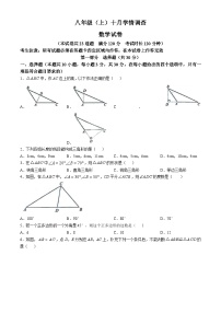 辽宁省大连市甘井子区2024—-2025学年八年级上学期10月月考数学试题(无答案)