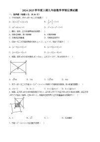 河南省驻马店市2024—-2025学年上学期10月份月考九年级数学试题