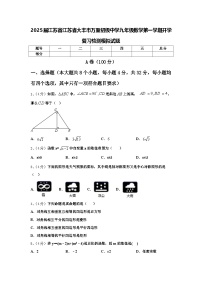 2025届江苏省江苏省大丰市万盈初级中学九年级数学第一学期开学复习检测模拟试题【含答案】