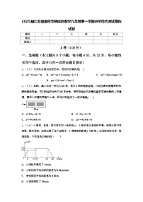 2025届江苏省南京市栖霞区数学九年级第一学期开学综合测试模拟试题【含答案】