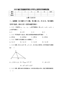 2025届江苏省南京市树人中学九上数学开学调研试题【含答案】