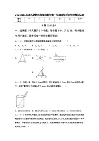 2025届江苏省苏北地区九年级数学第一学期开学质量检测模拟试题【含答案】