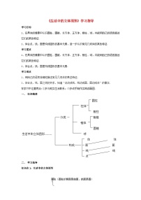 初中数学北师大版（2024）七年级上册（2024）1 生活中的立体图形学案设计