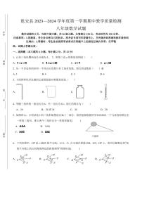 吉林省松原市乾安县2023-2024学年八年级上学期期中检测数学试卷