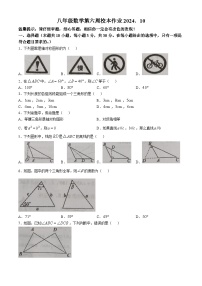 浙江省金华市义乌市七校联考2024-2025学年八年级上学期10月月考数学试题(无答案)