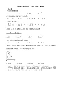 山东省青岛市崂山区实验学校2024-2025学年八年级上学期10月考数学试卷(无答案)