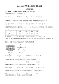 山东省临沂市兰山区2024-2025年九年级上第一次月考数学试题(无答案)