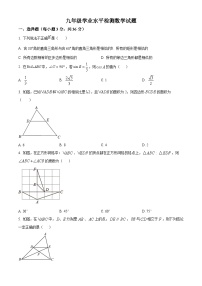 山东省聊城市莘县翔宇学校2024-2025学年九年级上学期10月月考数学试题