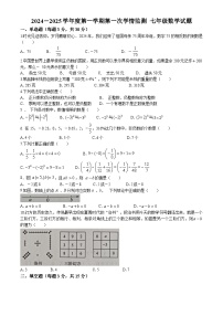 山东省济宁市金乡县2024-2025学年七年级上学期10月月考数学试题(无答案)