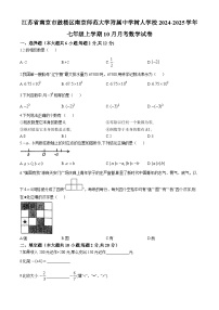 江苏省南京市鼓楼区南京师范大学附属中学树人学校2024-2025学年七年级上学期10月月考数学试卷(无答案)