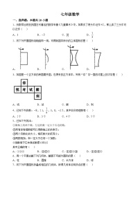 河南省郑州市桐柏一中2024-2025学年七年级上学期10月月考数学试题(无答案)