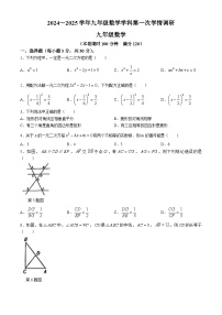 河南省郑州市第五初级中学2024—2024学年上学期九年级数学月考试卷(无答案)