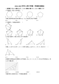 河北省邯郸市人和中学2024~2025学年八年级上学期第一次月考数学试题