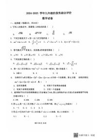 河南省新乡市辉县市第一初级中学2024-2025学年九年级上学期10月月考数学试题