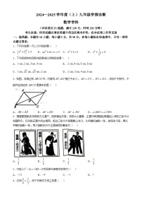 辽宁省沈阳市大东区2024-2025学年九年级上学期10月月考数学试题(无答案)