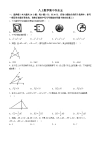 江苏省南通市崇川区南通市田家炳初级中学2024-2025学年八年级上学期10月月考数学试题(无答案)