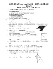 安徽省宿州市埇桥区教育集团2024-2025学年上学期九年级第一次月考数学试卷