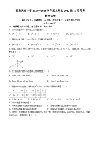 四川省成都市石室天府中学2024-2025学年九年级上学期10月月考数学试题(无答案)