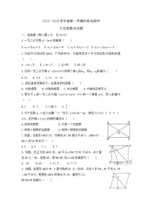 山东省枣庄市台儿庄区2024——2025学年九年级上学期数学月考试卷