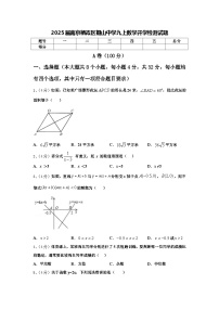 2025届南京栖霞区摄山中学九上数学开学检测试题【含答案】