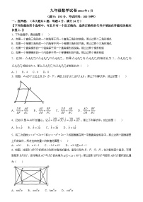 上海市黄浦区2023-2024学年九年级上学期期末数学试题