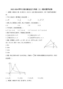 上海市嘉定区2023-2024学年八年级上学期期末数学试卷