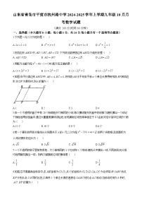 山东省青岛市平度市杭州路中学2024-2025学年上学期九年级10月月考数学试题(无答案)