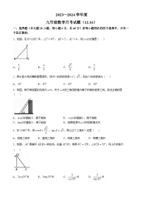 广东省清远市连南县田家炳民族中学2023-2024学年九年级上学期12月月考数学试题B