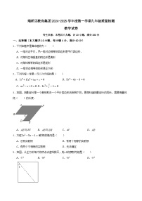 安徽省宿州市埇桥区教育集团2024-2025学年上学期九年级第一次月考数学试卷