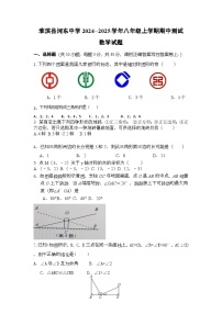 河南省信阳市淮滨县台头乡河东中学2024---2025学年八年级上学期期中数学试题