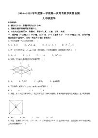 河北省保定市高碑店市2024-2025学年九年级上学期10月月考数学试题