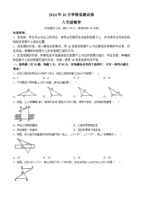 湖北省荆州市2024-2025学年八年级上学期10月月考数学试题