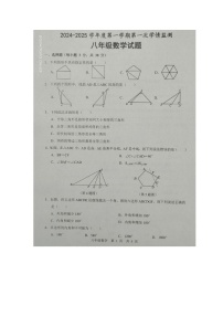 山东省济宁市金乡县2024-2025学年八年级上学期10月月考数学试题