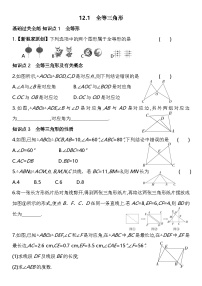 人教版（2024）八年级上册12.1 全等三角形达标测试