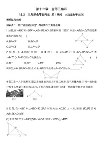 初中数学人教版（2024）八年级上册12.2 三角形全等的判定课后练习题