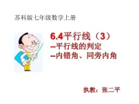 初中数学苏科版(2024)七年级上册(2024)6.4 平行线评课ppt课件