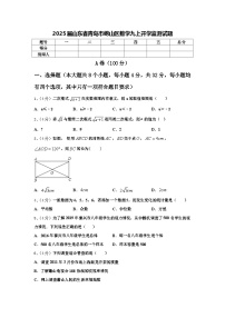 2025届山东省青岛市崂山区数学九上开学监测试题【含答案】