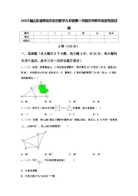 2025届山东省青岛市名校数学九年级第一学期开学教学质量检测试题【含答案】