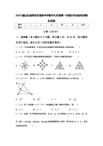 2025届山东省青岛市温泉中学数学九年级第一学期开学达标检测模拟试题【含答案】