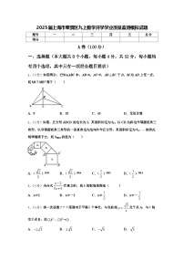 2025届上海市奉贤区九上数学开学学业质量监测模拟试题【含答案】