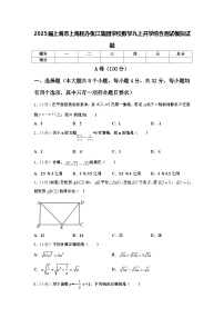 2025届上海市上海民办张江集团学校数学九上开学综合测试模拟试题【含答案】