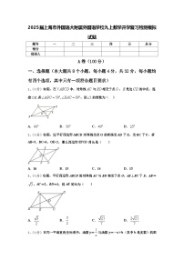 2025届上海市外国语大附属外国语学校九上数学开学复习检测模拟试题【含答案】