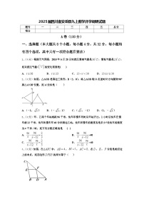 2025届四川省安岳县九上数学开学调研试题【含答案】