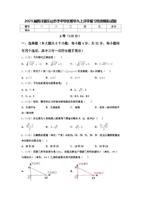 2025届四川省乐山市市中学区数学九上开学复习检测模拟试题【含答案】